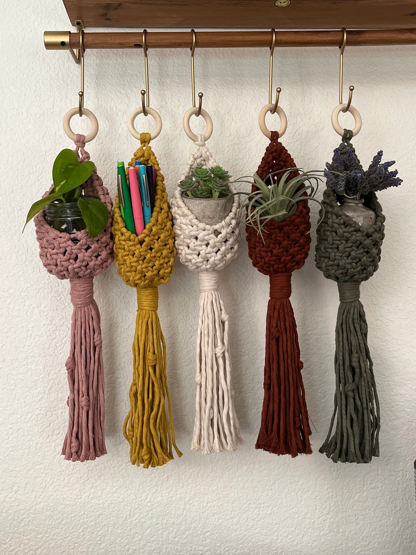 Air Plant Hanger